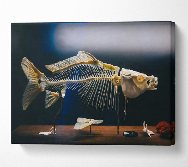 Ivory Fish Skeleton