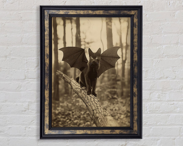 Bat Cat