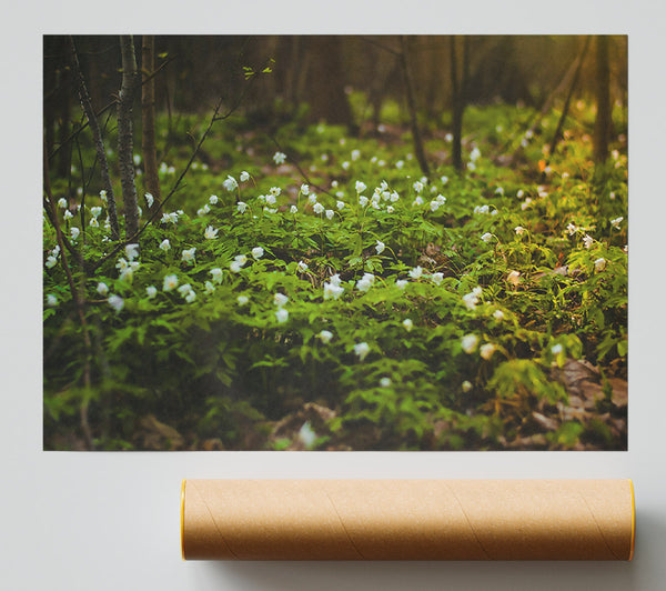 Green Forest Bloom