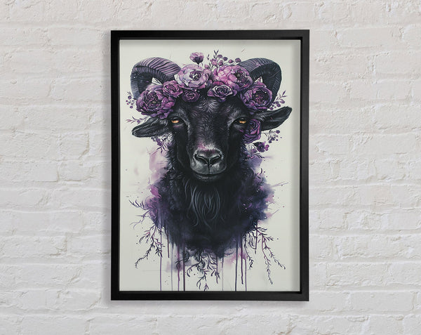 Beautiful Lilac Goat