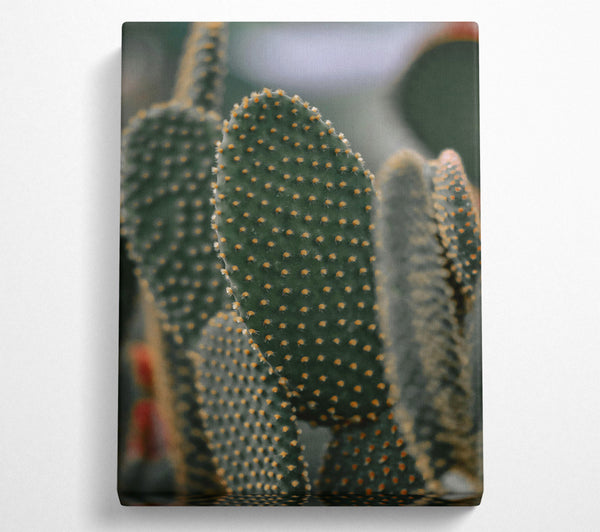 Green Spiky Cactus