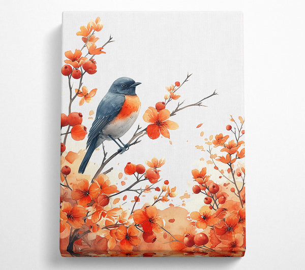 Orange Blossom And Bird