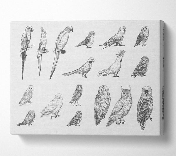 Bird Selection