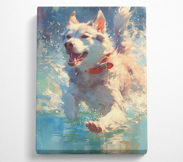 White Dog'S Splash