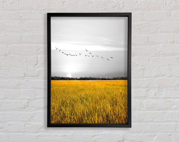 Birds Over A Corn Field