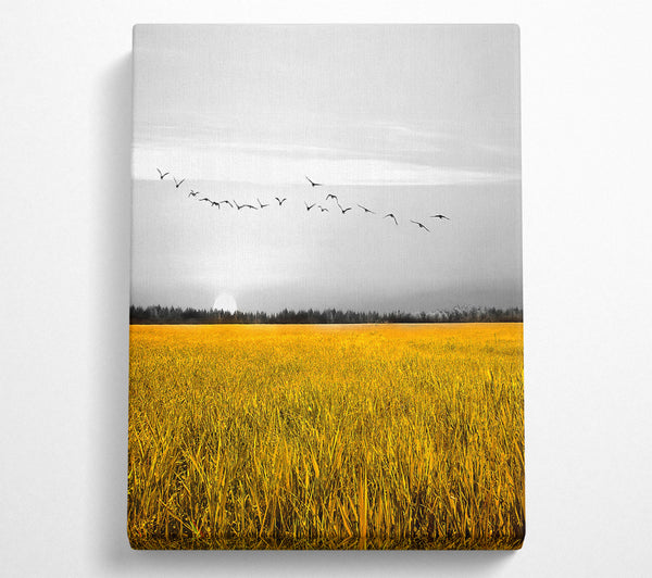 Birds Over A Corn Field