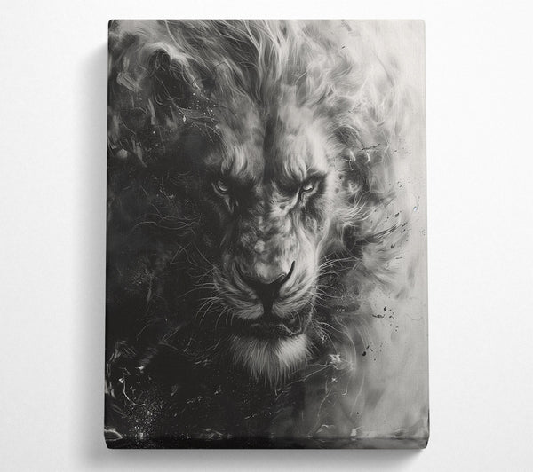 Black And White Lion Fierce