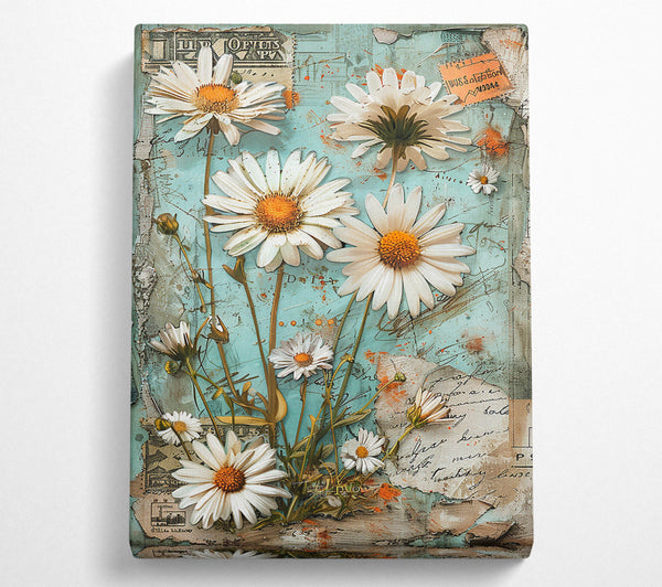 Blue Daisies On Postcard