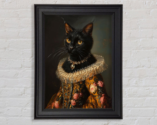 Black Cat Regal