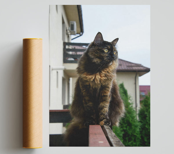 Tortoiseshell Cat On Railing