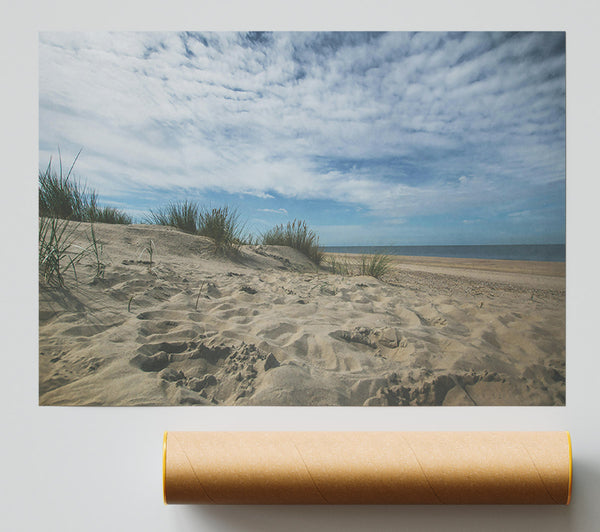 Golden Sand Dunes