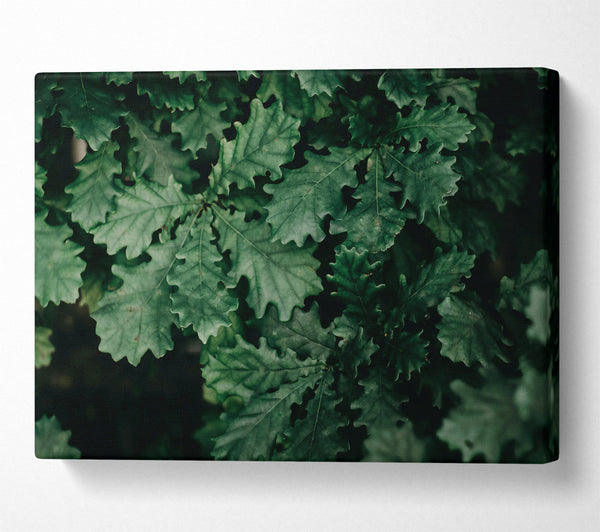 Emerald Leaf Canopy