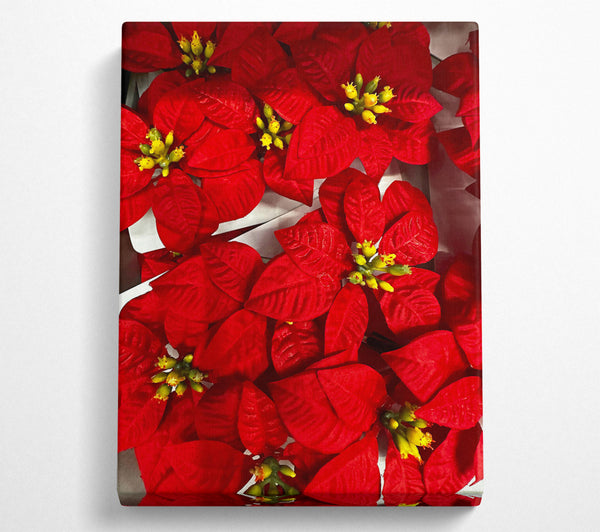 Crimson Poinsettia Bouquet