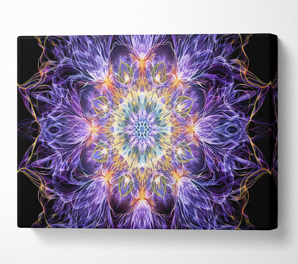 Violet Dreamy Mandala