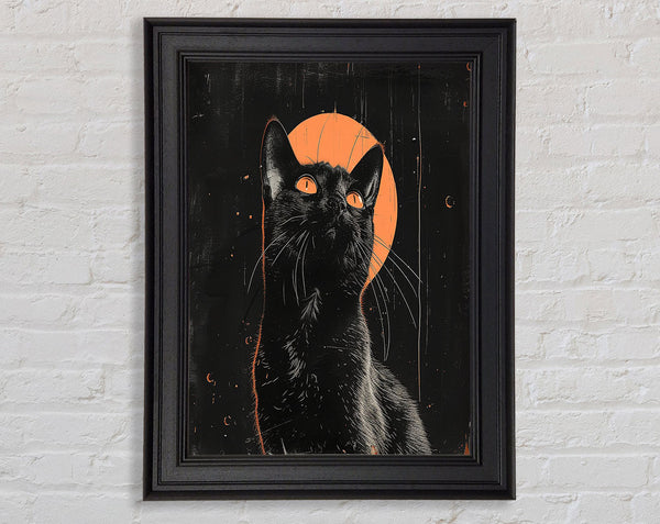 Black Moon Cat