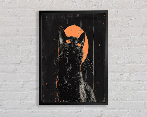 Black Moon Cat