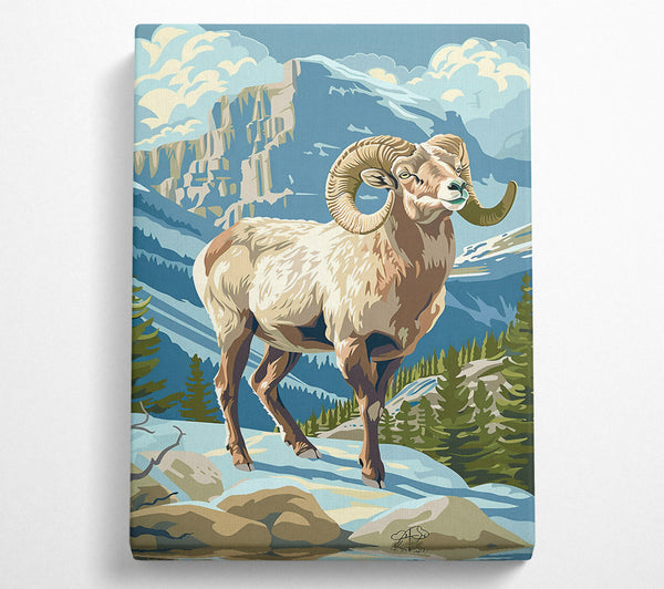 Blue Mountain Ram