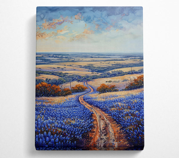 Bluebonnet Country Road