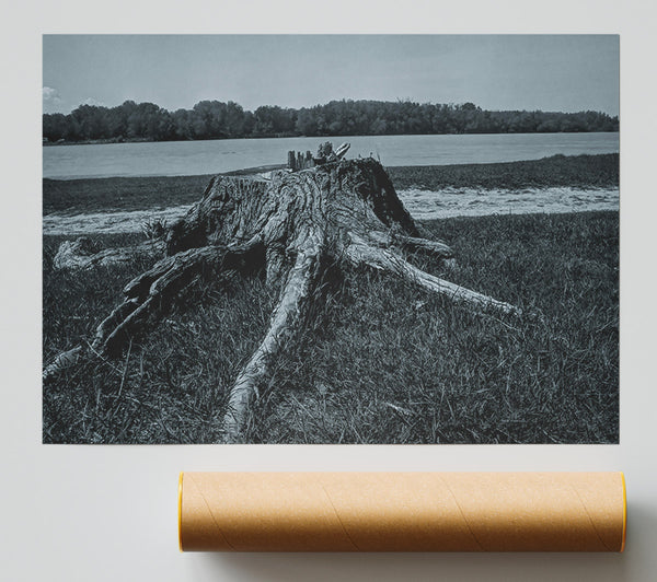 Blue Tree Stumps