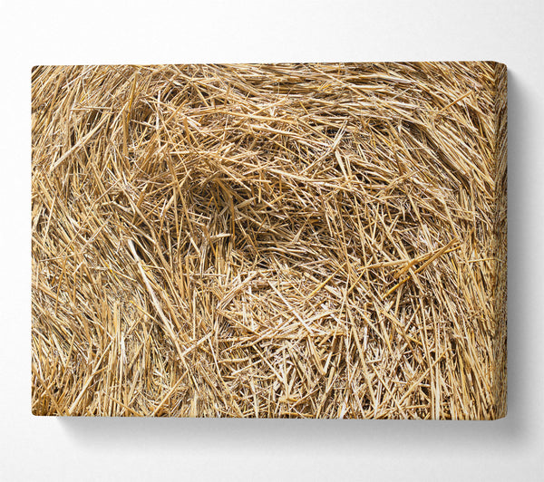 Golden Hay Bale Texture