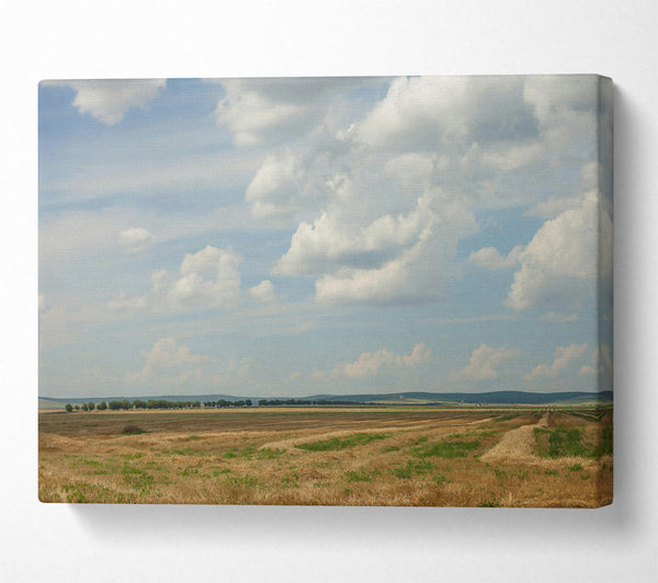 Golden Field Cloudscape