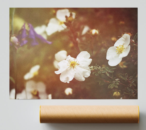 Golden White Bloom