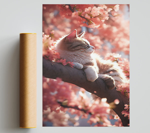 Pink Blossom Cat Nap