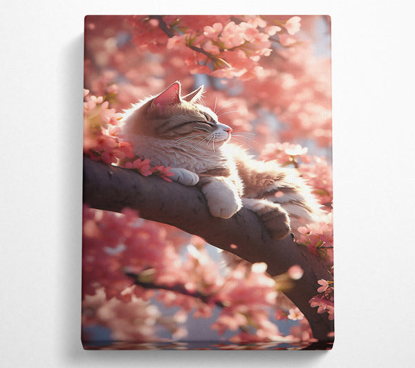 Pink Blossom Cat Nap