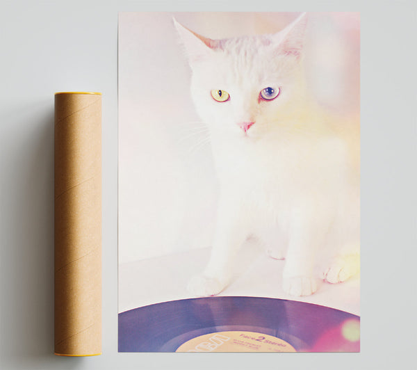 Pink Cat Vinyl