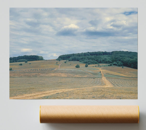 Golden Fields And Clouds