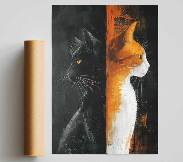 Orange And Black Feline Divide