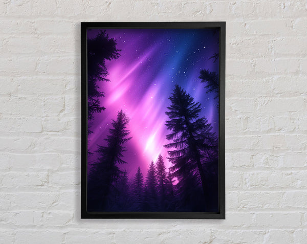 Blue And Purple Aurora