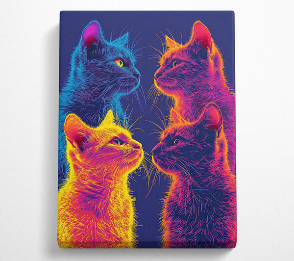 Neon Cat Gaze