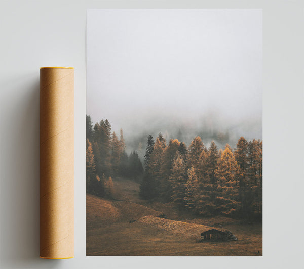 Golden Forest Fog