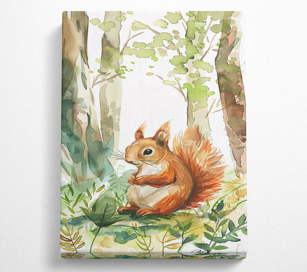 Orange Squirrel In Woods