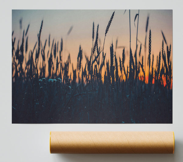 Orange Field Silhouettes