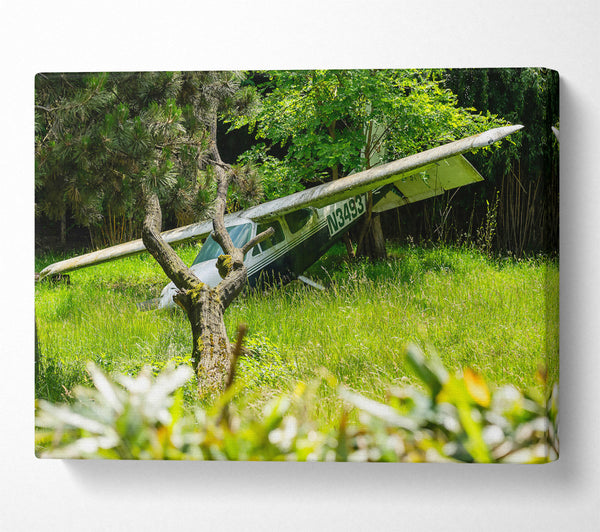 Green Plane In The Woods