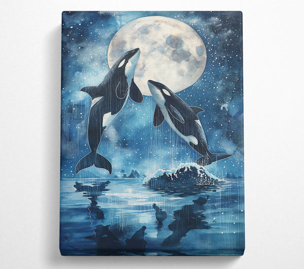 Blue Moon Orcas