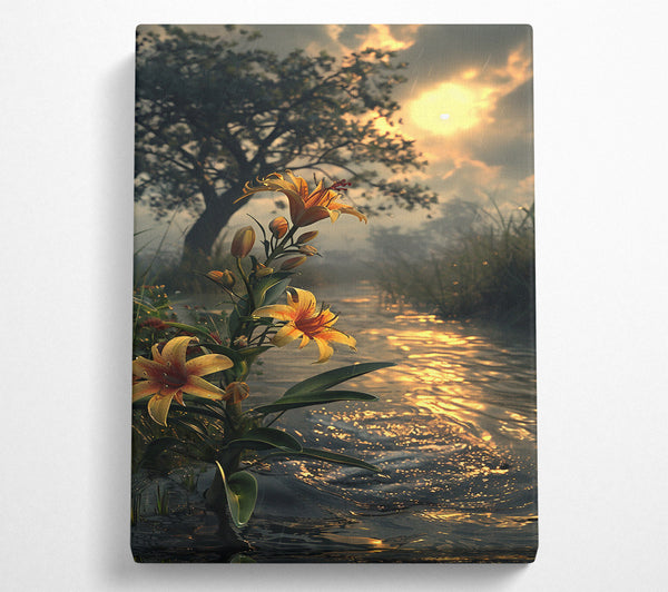 Golden Lily Stream