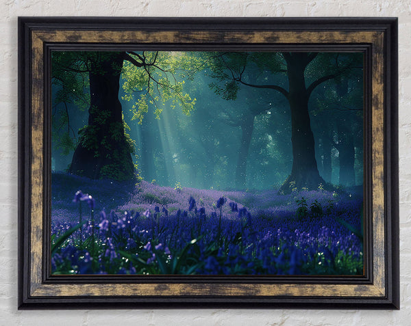 Bluebells Magical