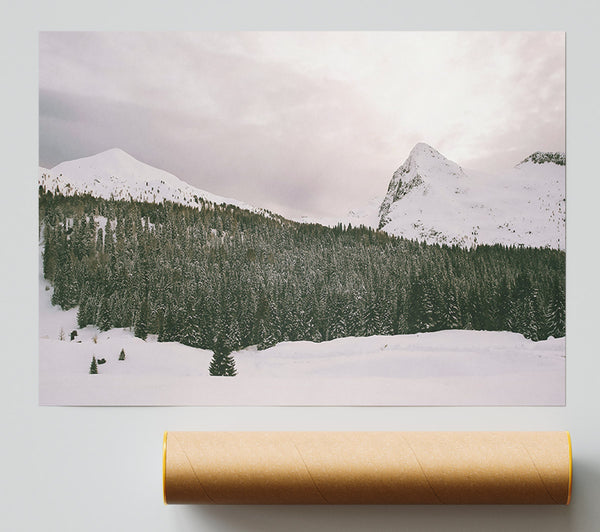 Pale Pines And Peaks