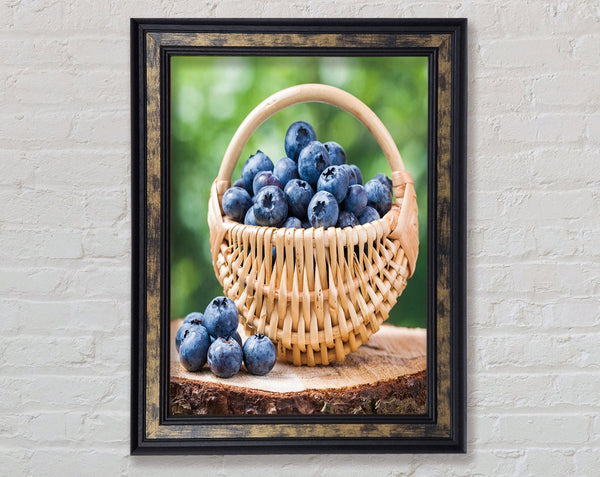 Blueberry Picking