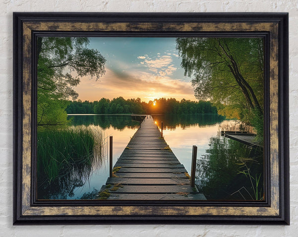 Boardwalk Forest