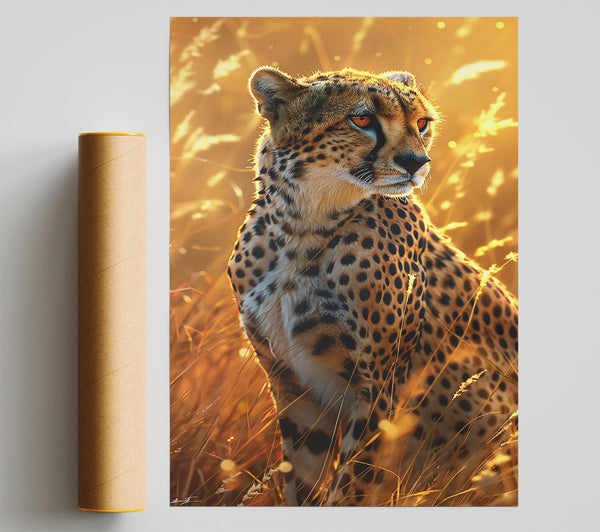 Golden Hour Cheetah