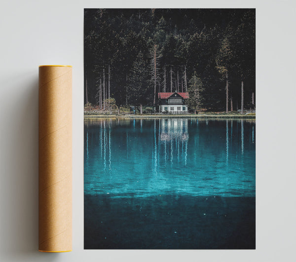 Teal Forest Reflection