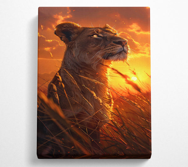 Golden Sunset Lioness