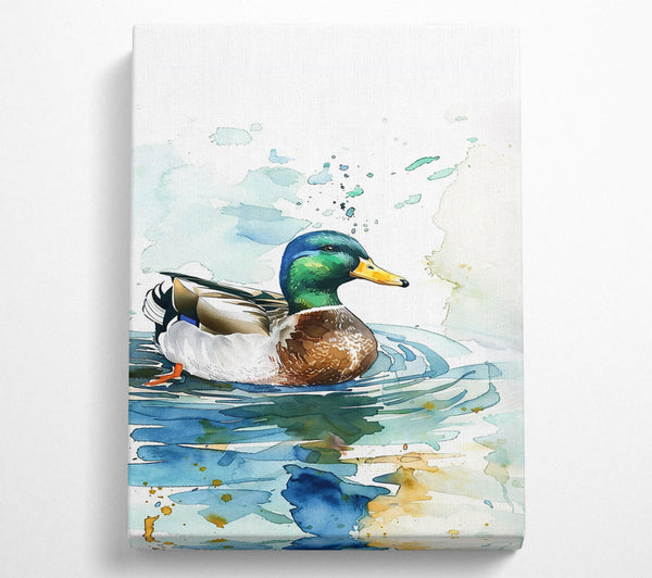 Blue Water Mallard