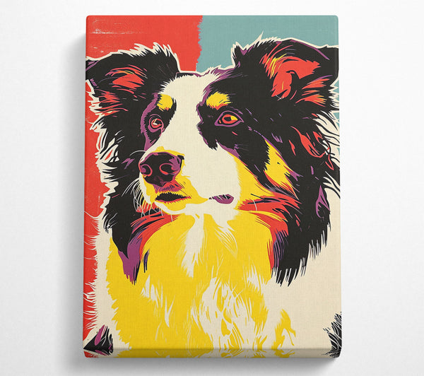 Border Collie Pop Art