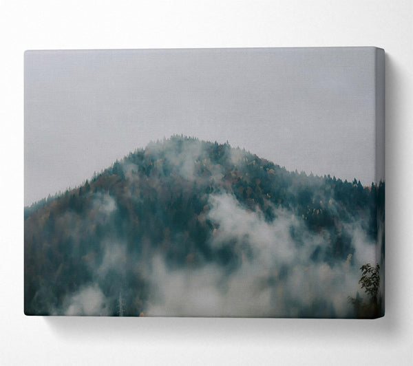 Gray Foggy Mountainside