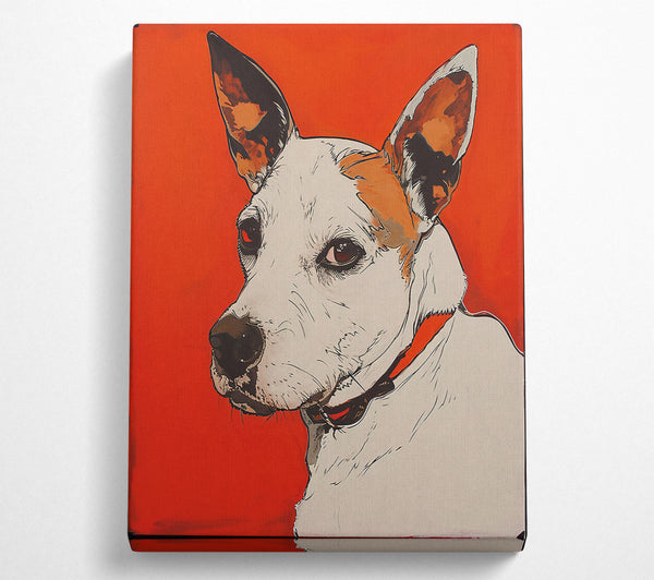 Orange Dog Portrait